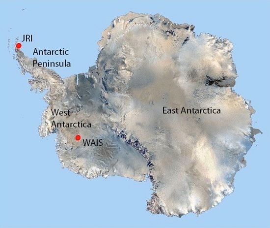 Graph for What's happening to Antarctica's ice?
